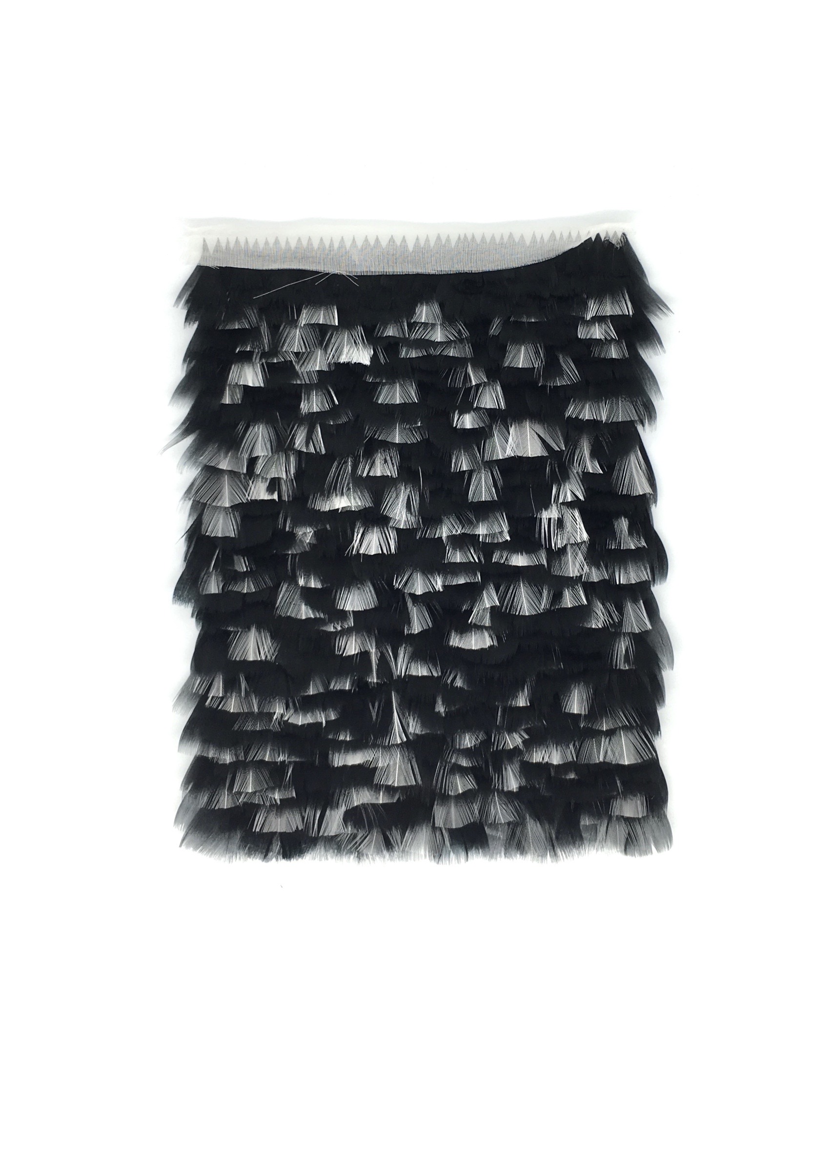 Echantillon plumasserie, Black Lady Macbeth. Couleur : noir, blanc Catégorie : Black