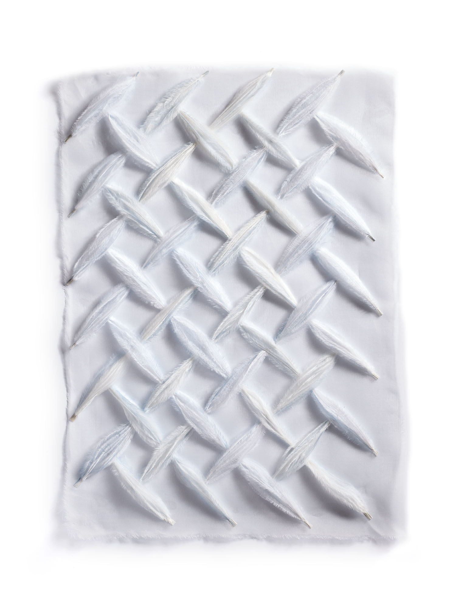 Echantillon plumasserie, Diamond. Couleur : blanc Catégorie : Embroidery