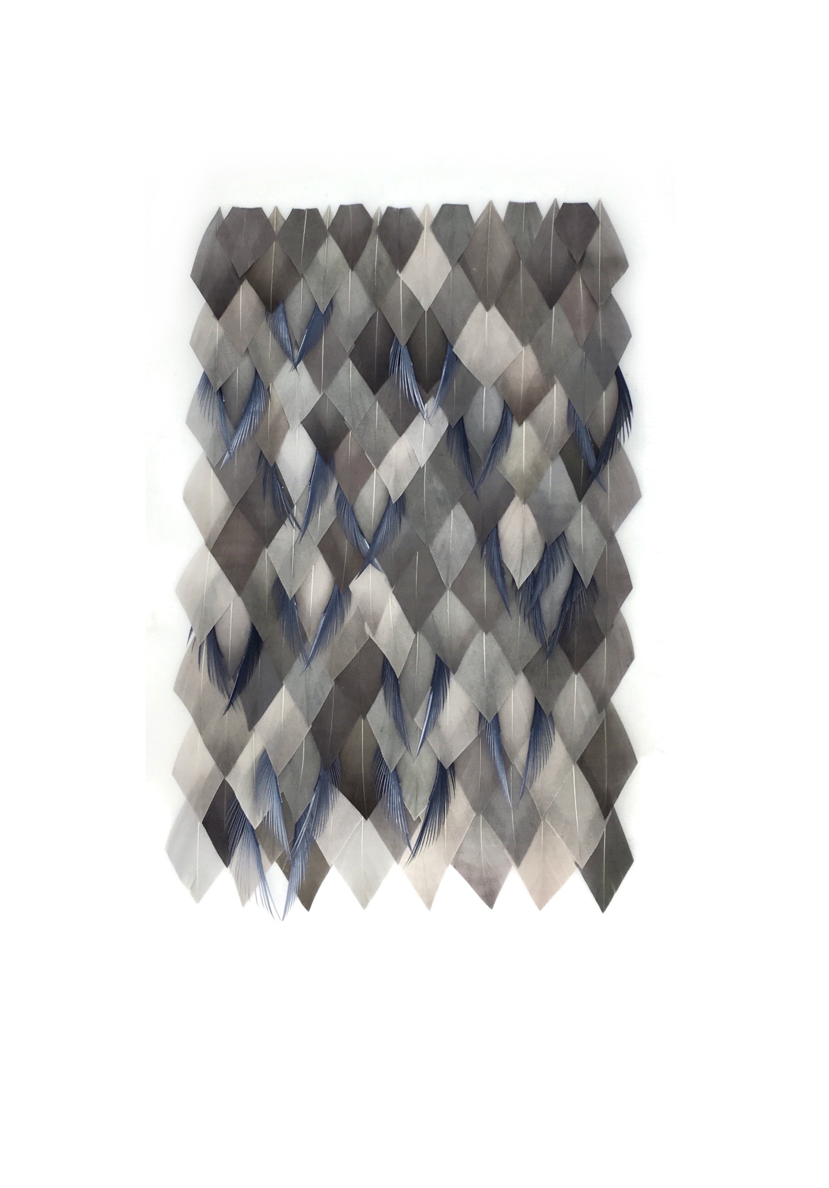 Echantillon plumasserie, Ciel du jour. Couleur : gris, beige, bleu Catégorie : Graphic