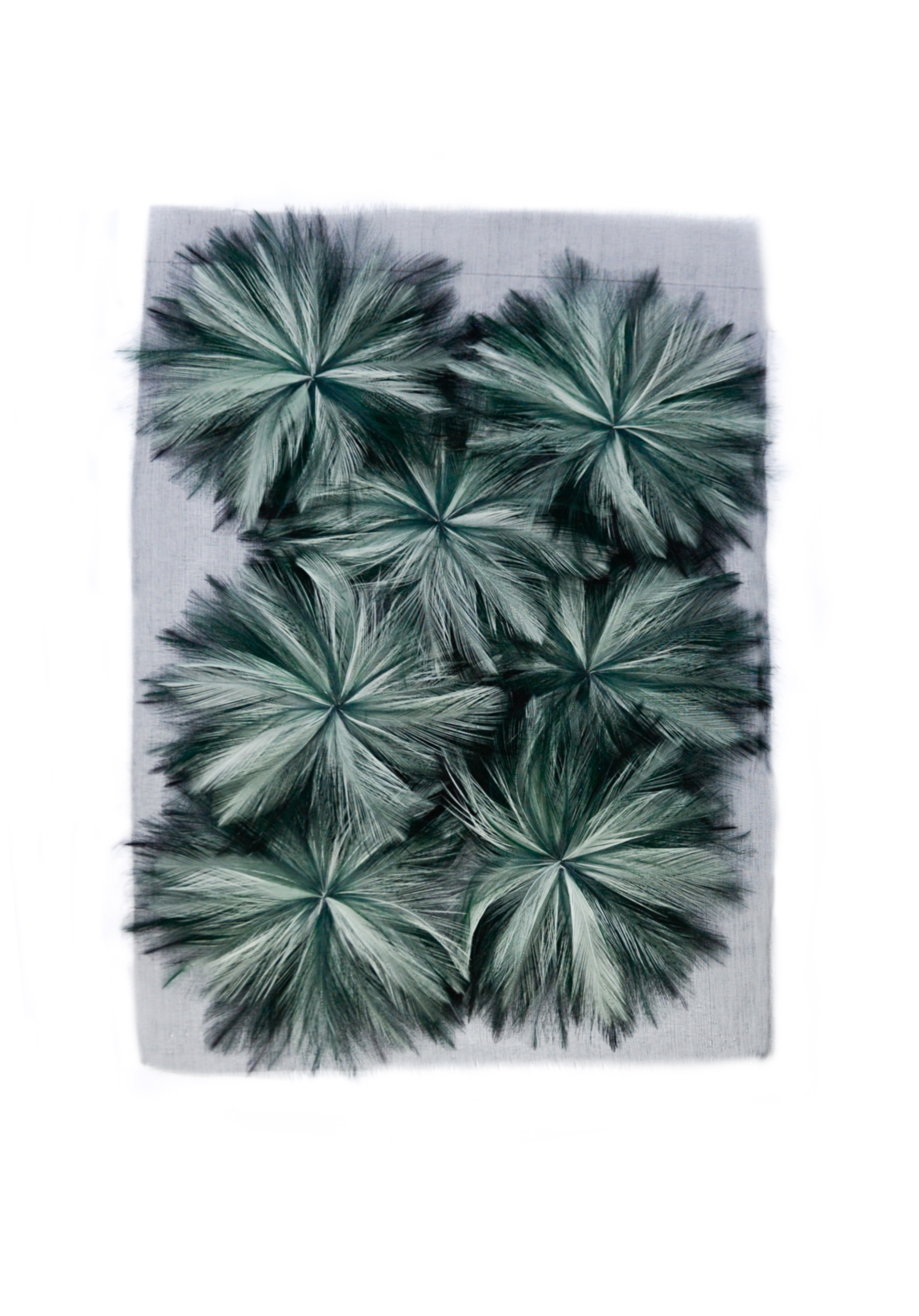 Echantillon plumasserie, Green palm. Couleur : blanc, vert Catégorie : Végétal